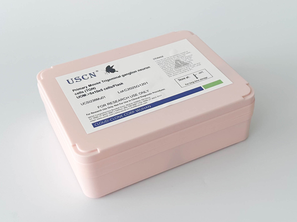 兔坐骨神經(jīng)周圍成纖維細(xì)胞( PSNC)原代細(xì)胞