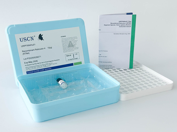 轉(zhuǎn)化受體電位陽(yáng)離子通道亞家族V成員1(TRPV1)重組蛋白